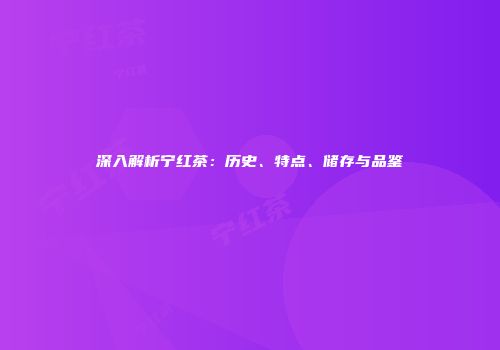 深入解析宁红茶：历史、特点、储存与品鉴