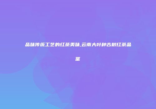 品味传统工艺的红茶美味,云南大叶种古树红茶品鉴