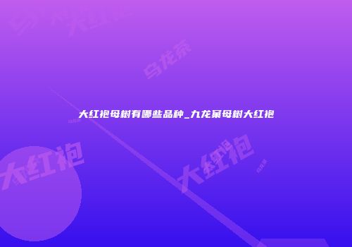 大红袍母树有哪些品种_九龙窠母树大红袍