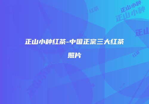 正山小种红茶-中国正宗三大红茶照片