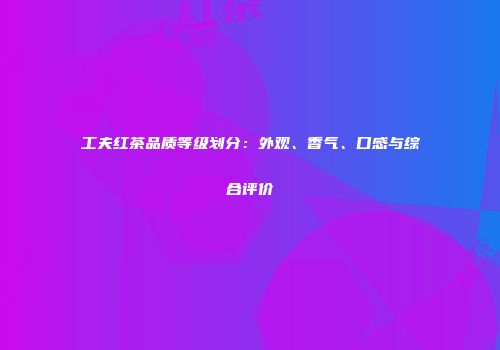 工夫红茶品质等级划分：外观、香气、口感与综合评价