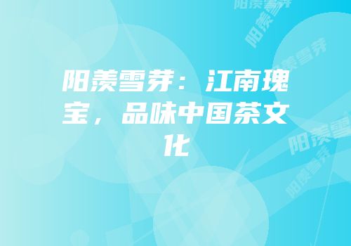 阳羡雪芽：江南瑰宝，品味中国茶文化