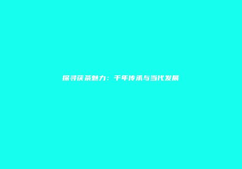 探寻茯茶魅力：千年传承与当代发展