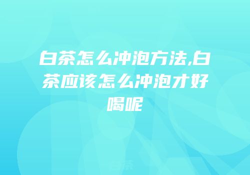 白茶怎么冲泡方法,白茶应该怎么冲泡才好喝呢