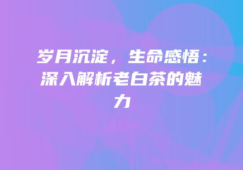 岁月沉淀，生命感悟：深入解析老白茶的魅力