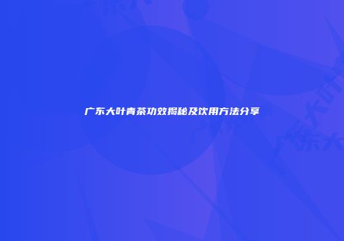 广东大叶青茶功效揭秘及饮用方法分享