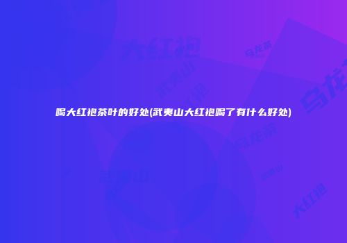 喝大红袍茶叶的好处(武夷山大红袍喝了有什么好处)