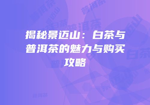 揭秘景迈山：白茶与普洱茶的魅力与购买攻略