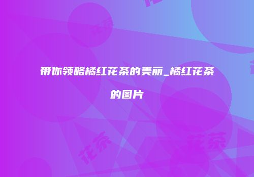 带你领略橘红花茶的美丽_橘红花茶的图片