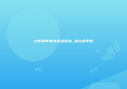 六年陈年单丛老茶好处_茶比陈年好