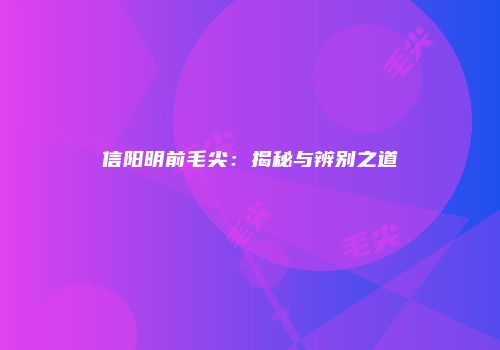 信阳明前毛尖：揭秘与辨别之道