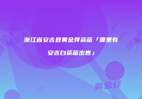 浙江省安吉县黄金芽茶苗「哪里有安吉白茶苗出售」