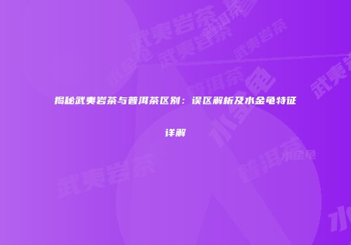 揭秘武夷岩茶与普洱茶区别：误区解析及水金龟特征详解
