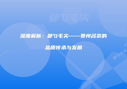 深度解析：都匀毛尖——贵州名茶的品质传承与发展