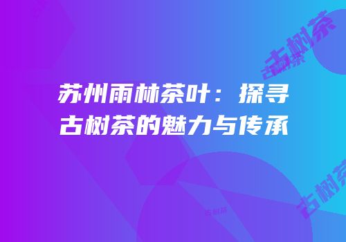 苏州雨林茶叶：探寻古树茶的魅力与传承