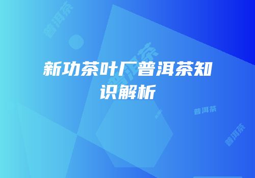 新功茶叶厂普洱茶知识解析