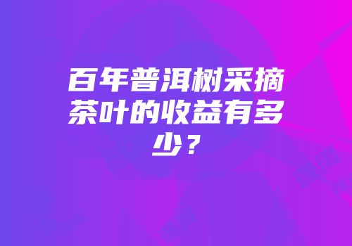 百年普洱树采摘茶叶的收益有多少？