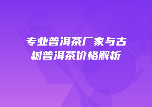 专业普洱茶厂家与古树普洱茶价格解析