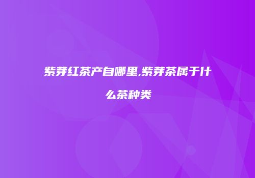 紫芽红茶产自哪里,紫芽茶属于什么茶种类