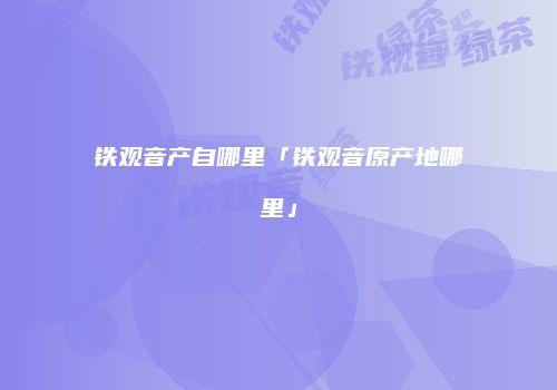 铁观音产自哪里「铁观音原产地哪里」