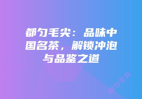 都匀毛尖：品味中国名茶，解锁冲泡与品鉴之道