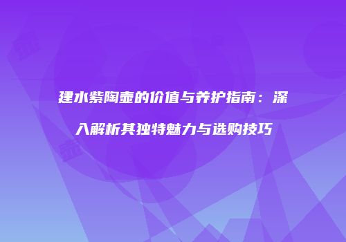 建水紫陶壶的价值与养护指南：深入解析其独特魅力与选购技巧