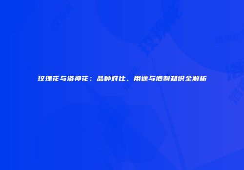 玫瑰花与洛神花：品种对比、用途与泡制知识全解析