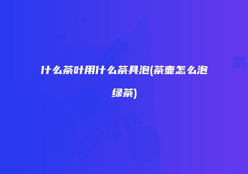 什么茶叶用什么茶具泡(茶壶怎么泡绿茶)