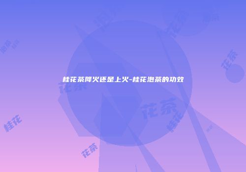 桂花茶降火还是上火-桂花泡茶的功效