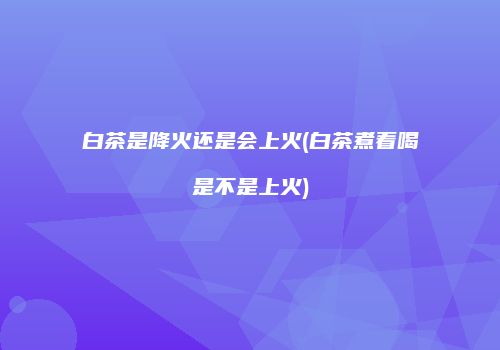 白茶是降火还是会上火(白茶煮着喝是不是上火)