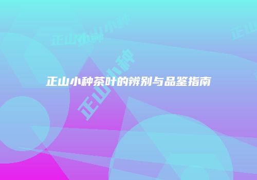 正山小种茶叶的辨别与品鉴指南