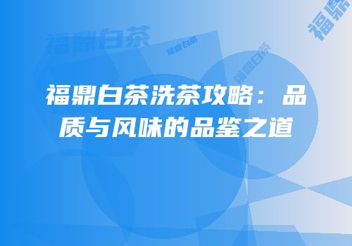福鼎白茶洗茶攻略：品质与风味的品鉴之道