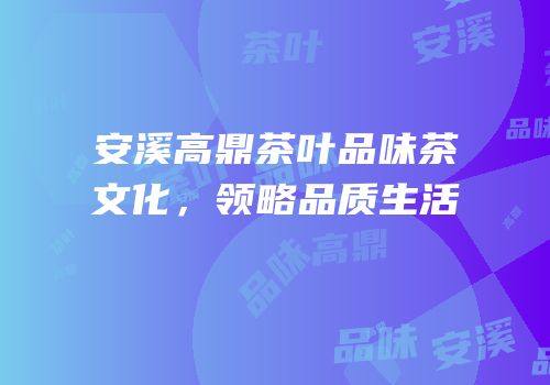 安溪高鼎茶叶品味茶文化，领略品质生活