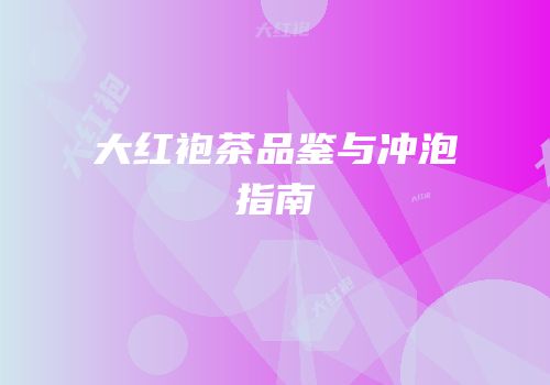 大红袍茶品鉴与冲泡指南