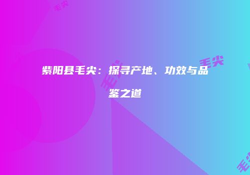 紫阳县毛尖：探寻产地、功效与品鉴之道
