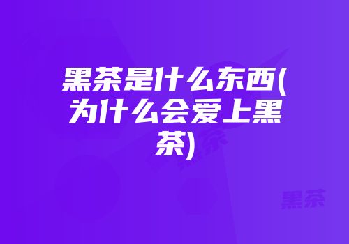 黑茶是什么东西(为什么会爱上黑茶)