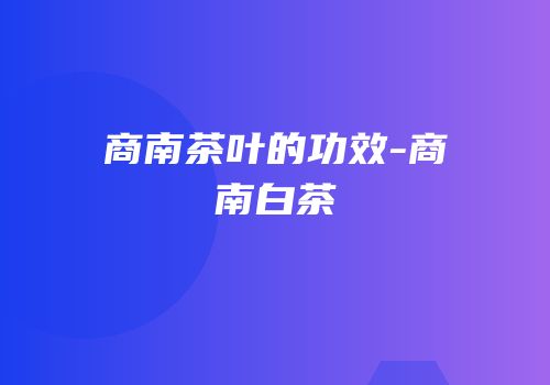 商南茶叶的功效-商南白茶