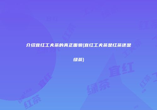 介绍宜红工夫茶的真正面貌(宜红工夫茶是红茶还是绿茶)