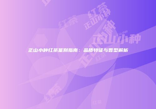 正山小种红茶鉴别指南：品质特征与香型解析