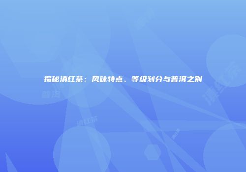 揭秘滇红茶：风味特点、等级划分与普洱之别