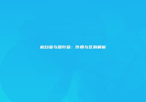 杭白菊与甜叶菊：作用与区别解析