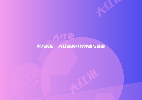 深入解析：大红袍茶叶的特点与品鉴