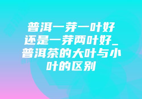 普洱一芽一叶好还是一芽两叶好_普洱茶的大叶与小叶的区别