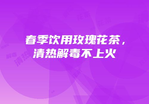 春季饮用玫瑰花茶，清热解毒不上火