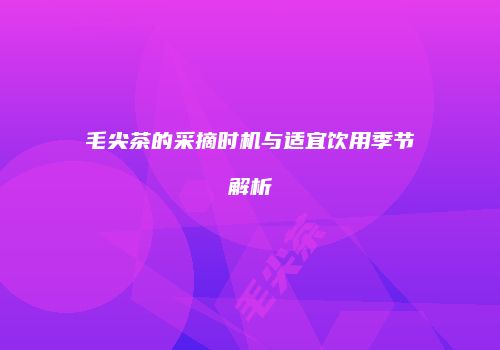 毛尖茶的采摘时机与适宜饮用季节解析