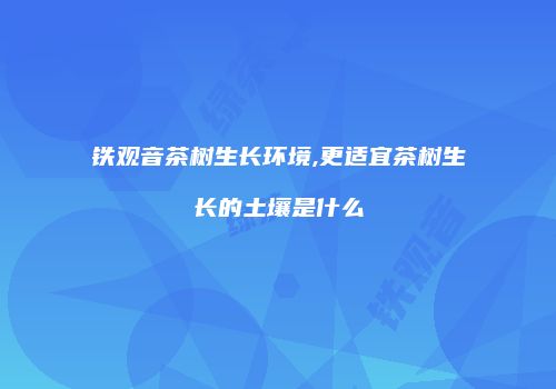 铁观音茶树生长环境,更适宜茶树生长的土壤是什么