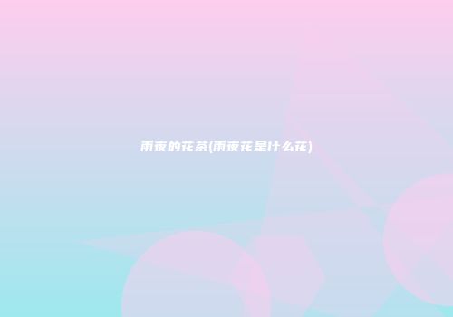 雨夜的花茶(雨夜花是什么花)