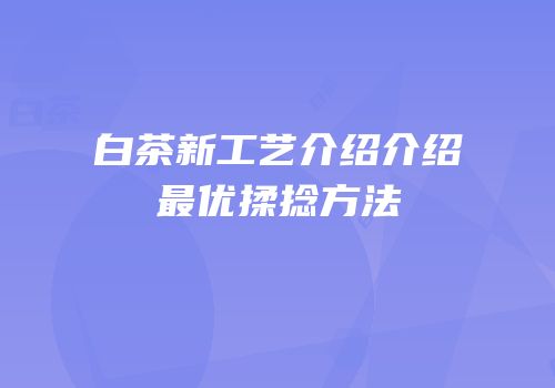 白茶新工艺介绍介绍最优揉捻方法