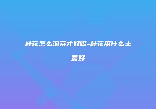 桂花怎么泡茶才好喝-桂花用什么土最好