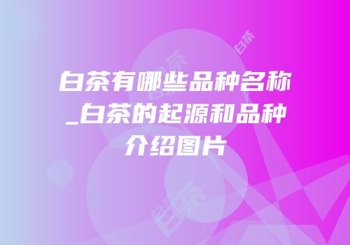 白茶有哪些品种名称_白茶的起源和品种介绍图片